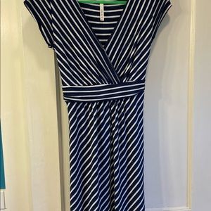 Stitch fix Navy Blue and White diagonal stripe dress